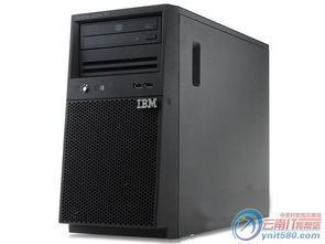 IBM x3100 M4服務器 高性能數據處理與存儲的雙重保障